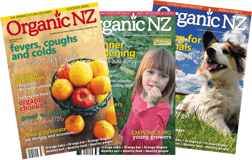 Magazine Editor